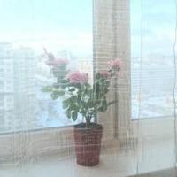 Фотографии отеля Studio Evia