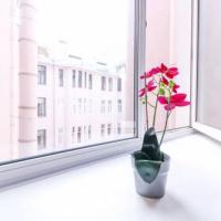 Hotel photos Super Hostel - Nevsky Prospekt 95