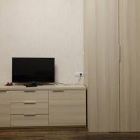 Фотографии отеля Apartment On Pulkovskoe Shosse