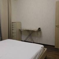 Фотографии отеля Apartment On Pulkovskoe Shosse