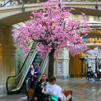 Hotel photos Week-long Two Capitals of Russia